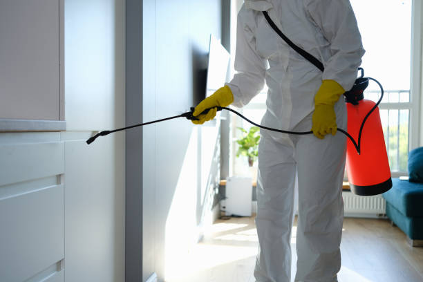 Best Residential Mold Remediation in Hawaiian Gardens, CA
